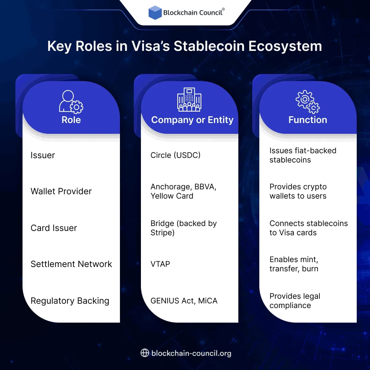 Key Roles in Visa’s Stablecoin Ecosystem