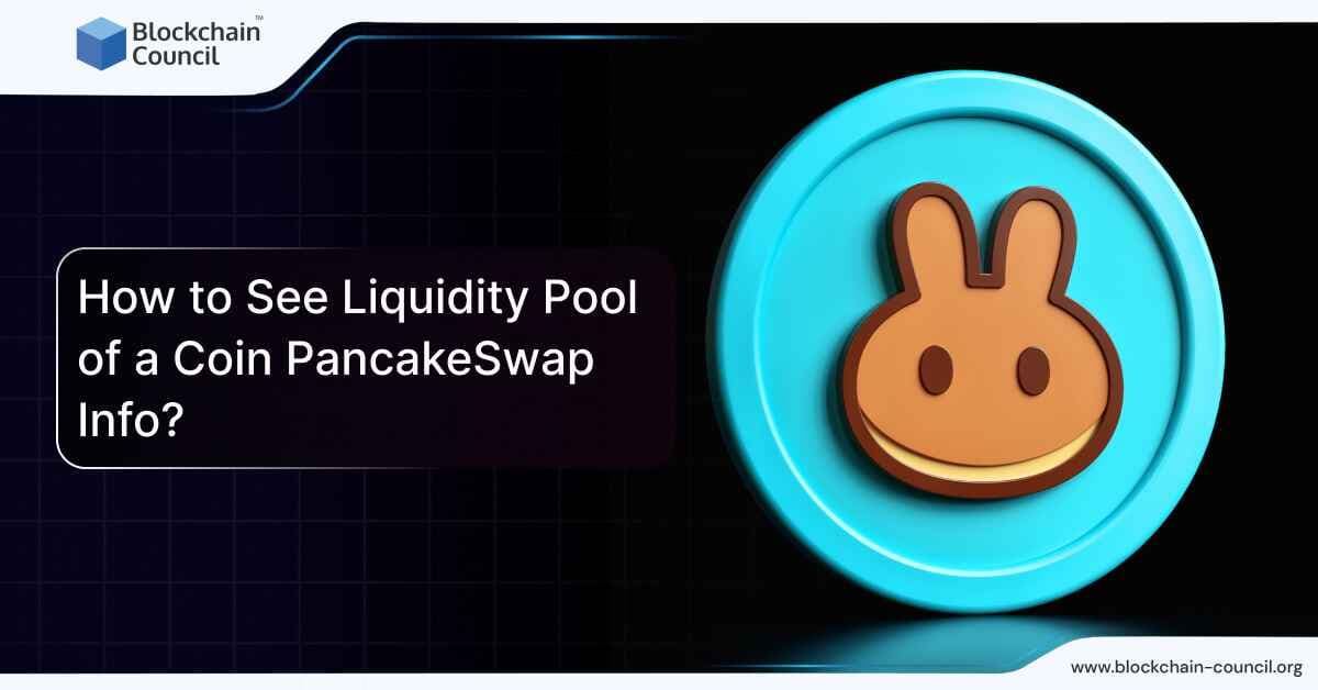How to See Liquidity Pool of a Coin PancakeSwap Info?