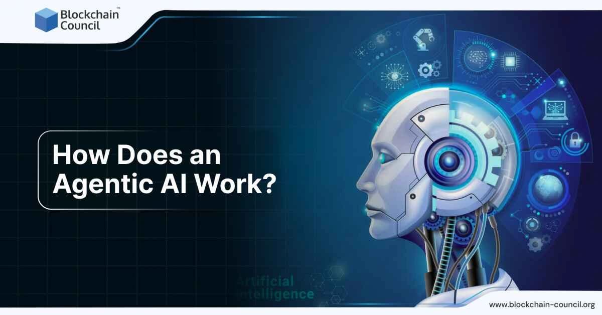 How Does an Agentic AI Work?