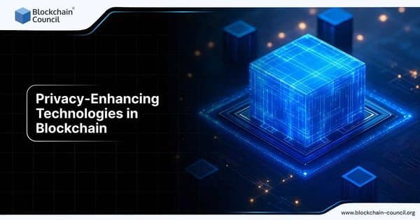 Privacy-Enhancing Technologies in Blockchain