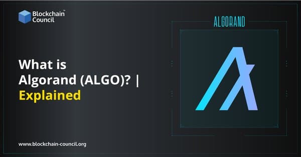 What is Algorand (ALGO) Explained