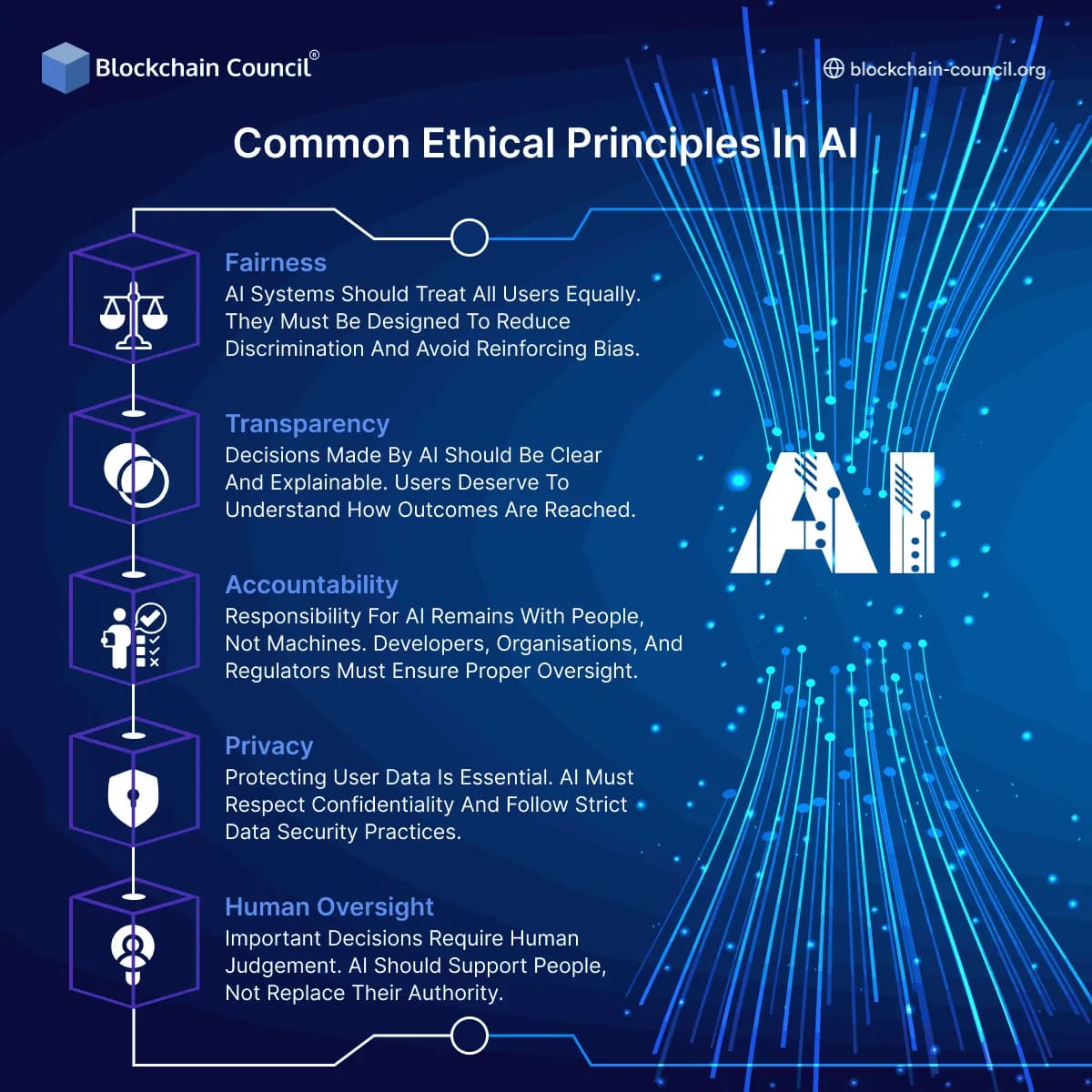 Ethical Principles in AI