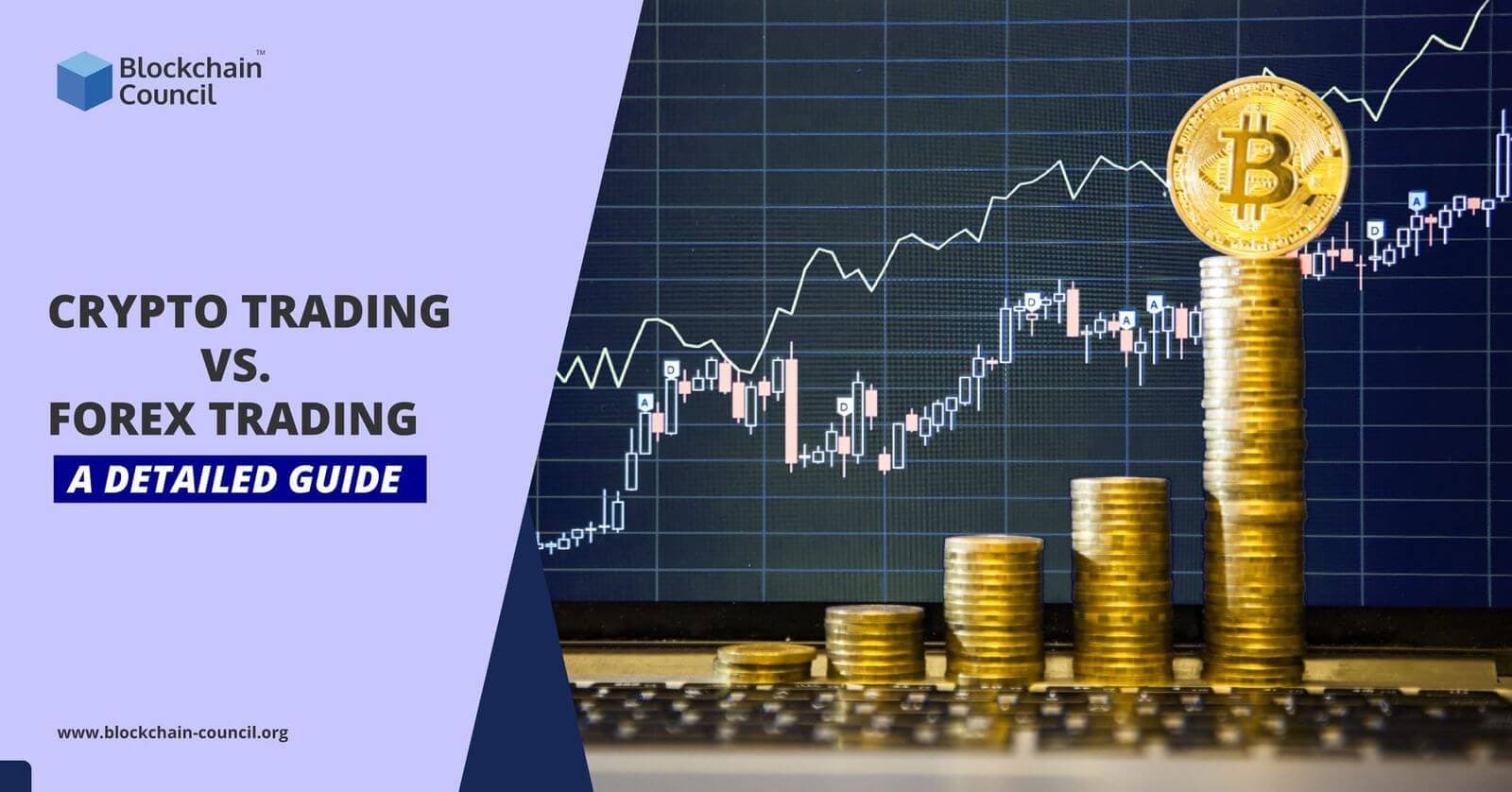 Crypto-Trading-Vs.-Forex-Trading–A-Detailed-Guide