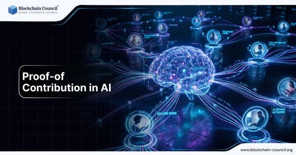 Proof-of-Contribution in AI: Measuring and Rewarding Dataset and Compute Contributions On-Chain