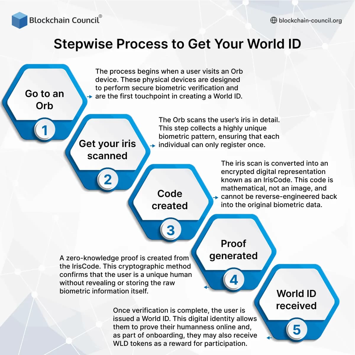 Stepwise Process to Get Your World ID