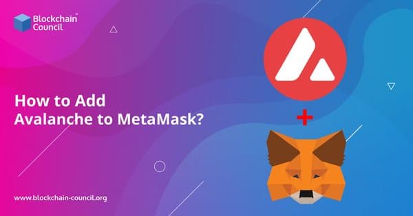 Metamask download