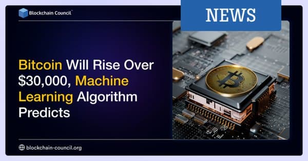 Bitcoin Will Rise Over $30,000