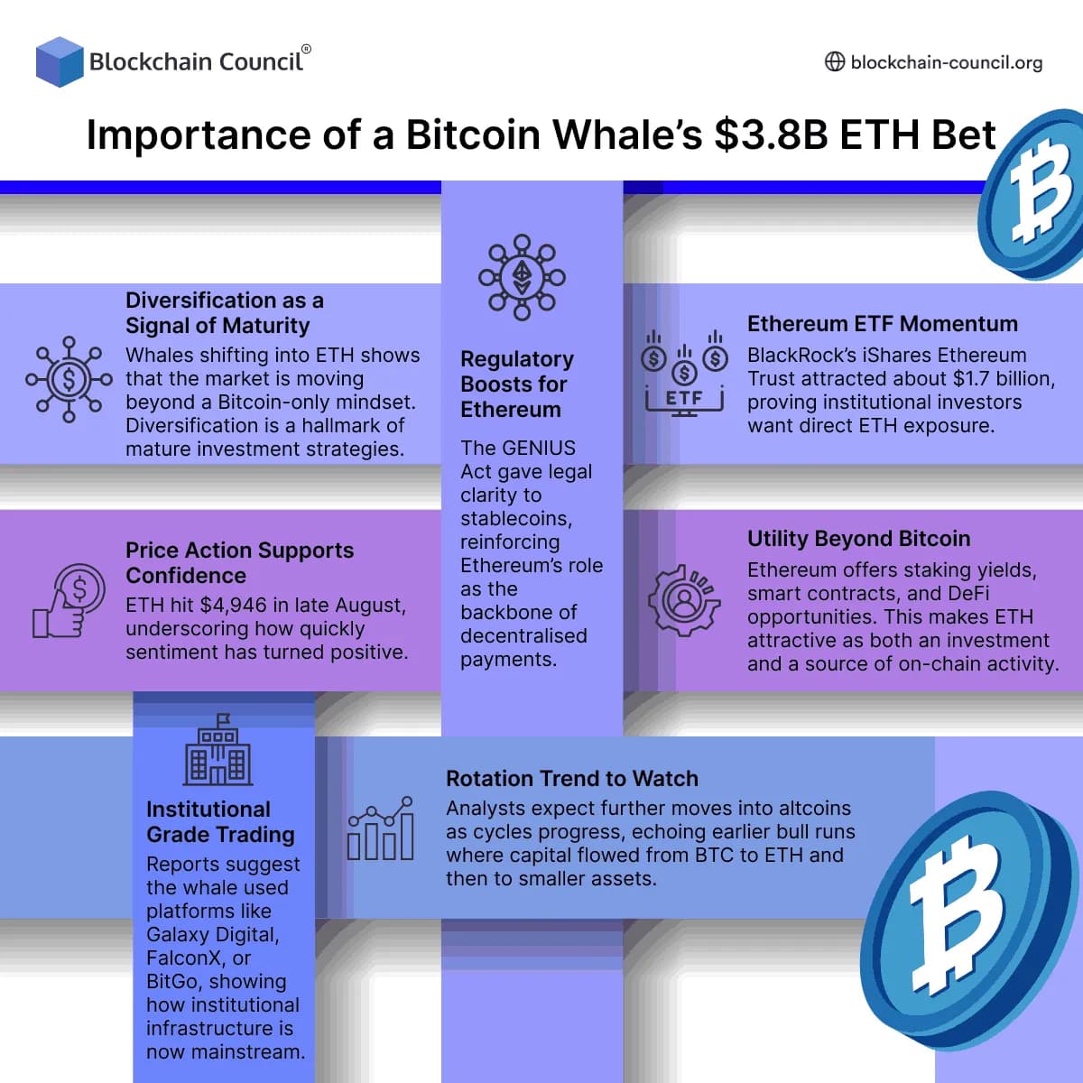 Importance of a Bitcoin Whale’s $3.8B ETH Bet 
