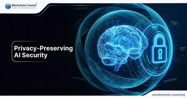 Privacy-Preserving AI Security: Applying Differential Privacy, Federated Learning, and Secure Enclaves