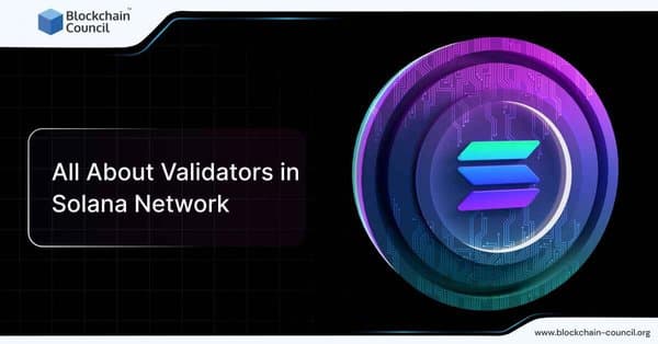 All About Validators in Solana Network