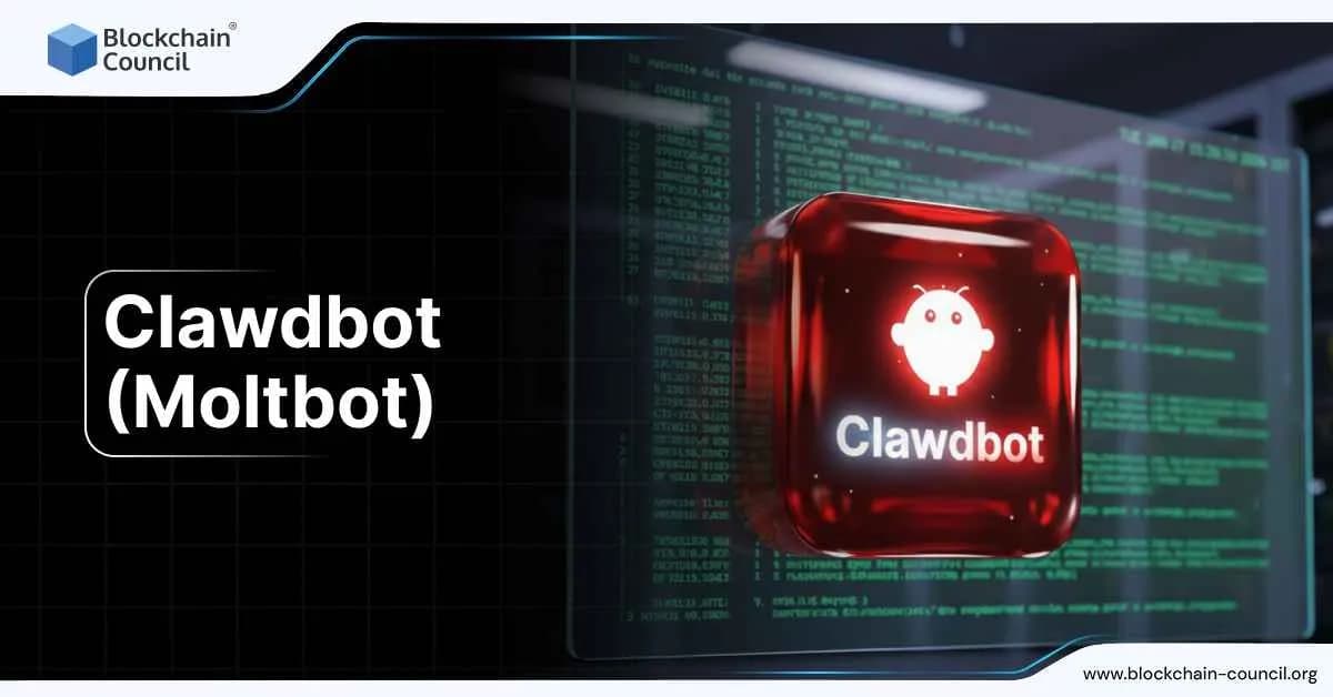 Clawdbot (Moltbot)