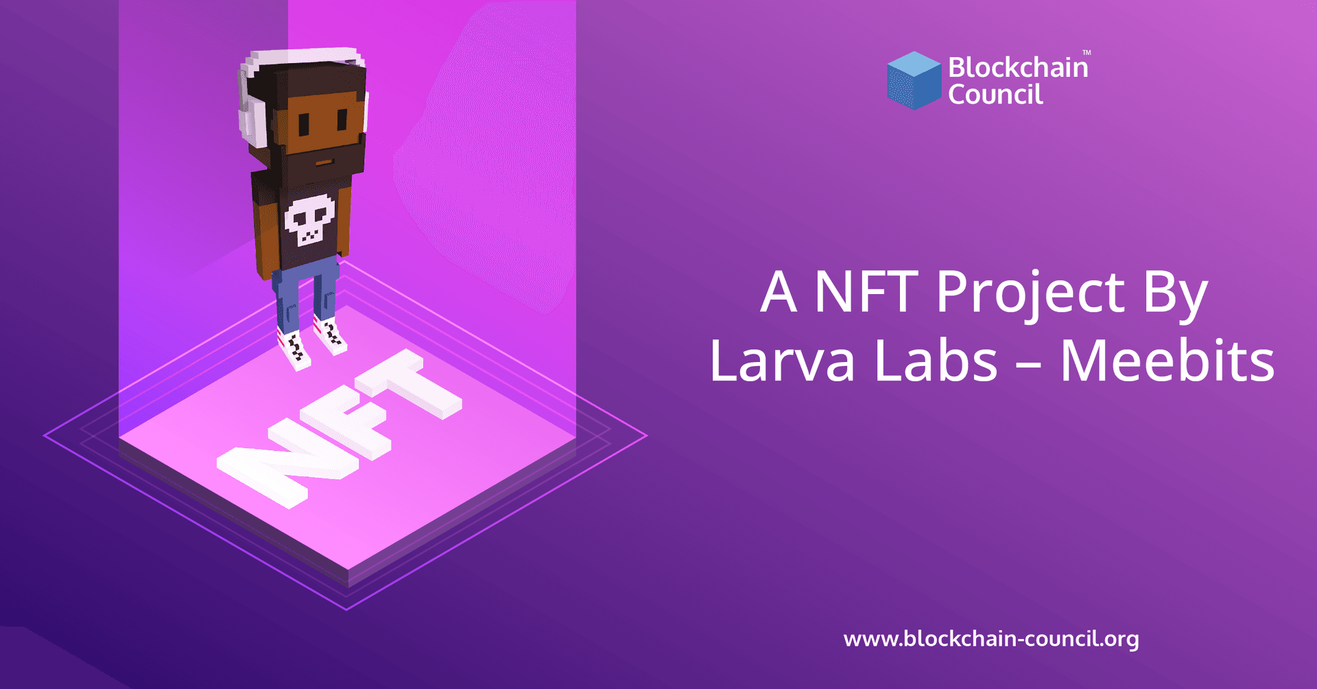 Meebits – A NFT Project By Larva Labs
