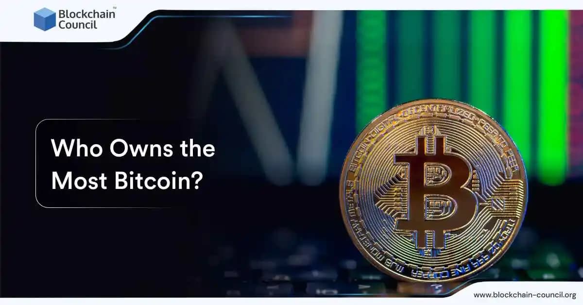 Who Owns the Most Bitcoin?