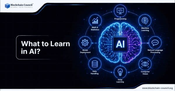 What to Learn in AI?