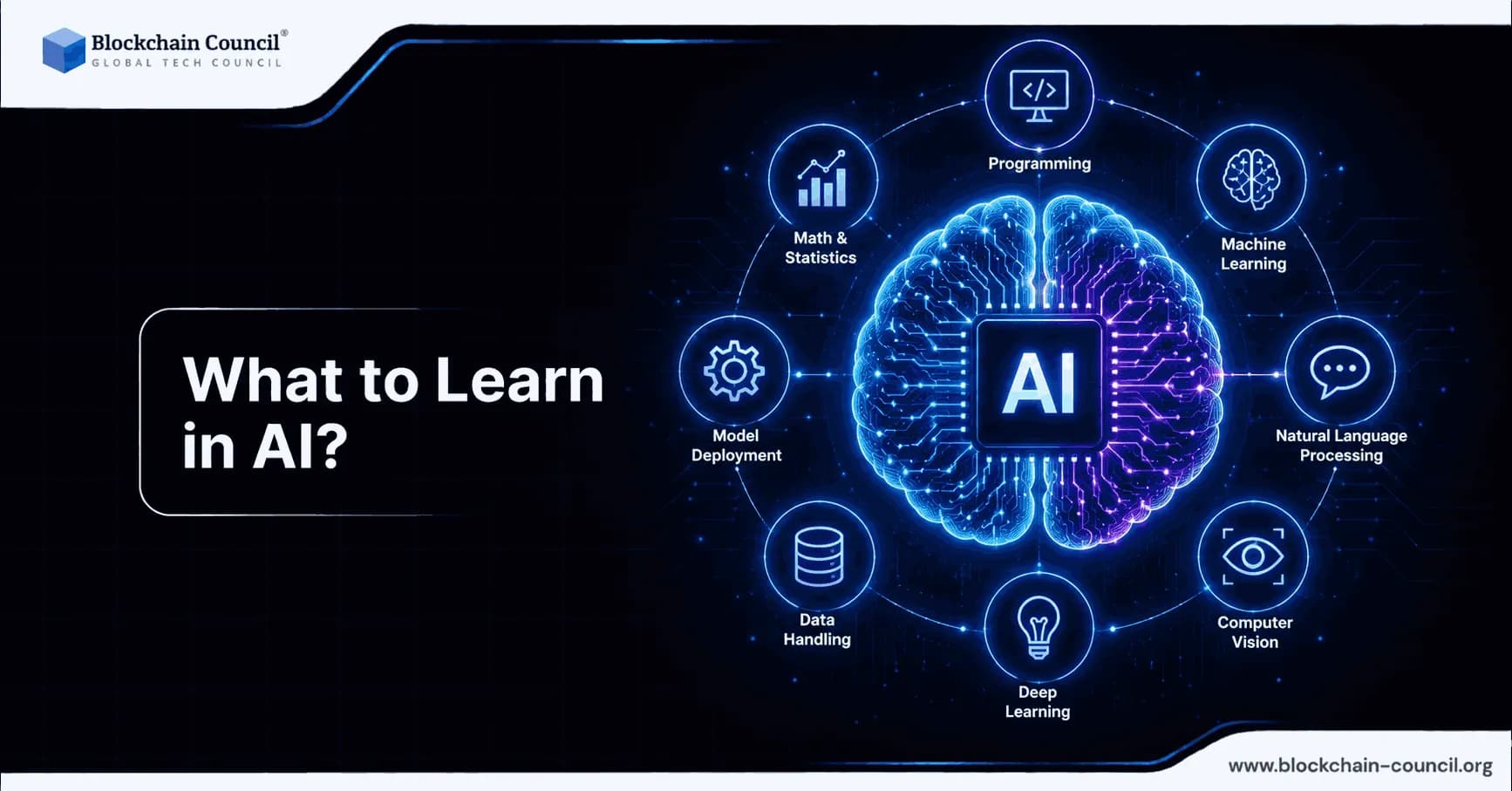 What to Learn in AI?