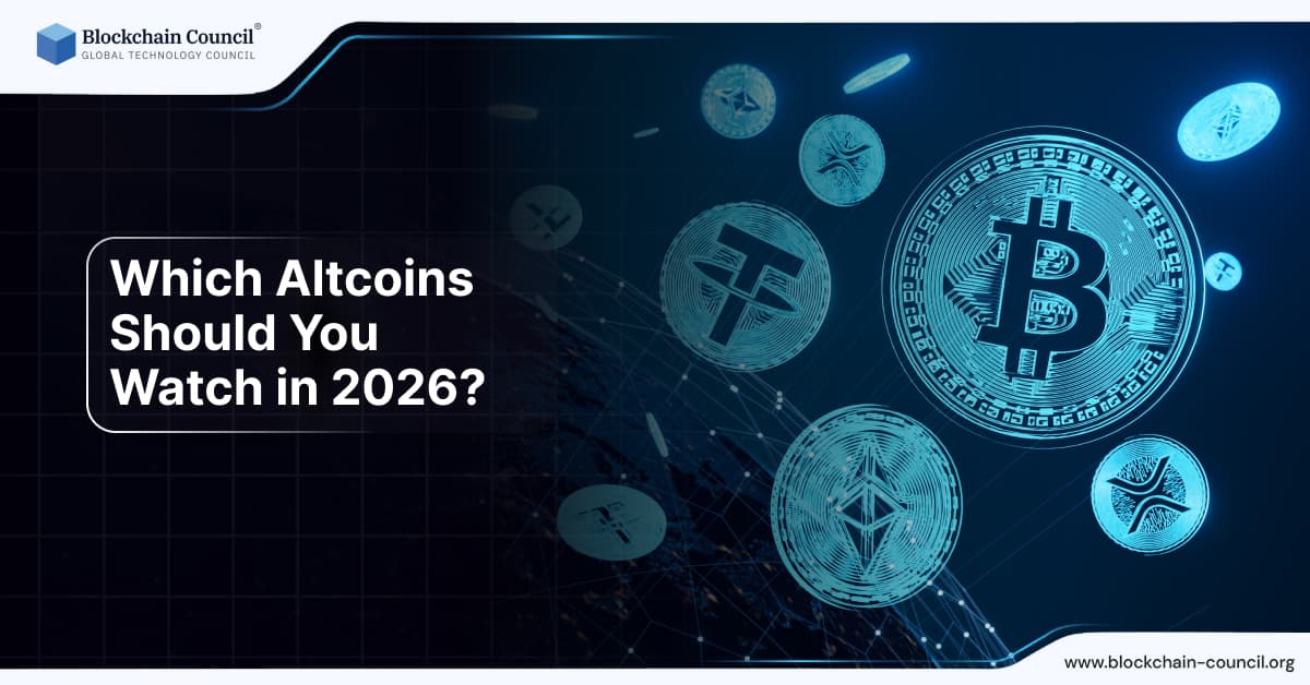Which Altcoins Should You Watch