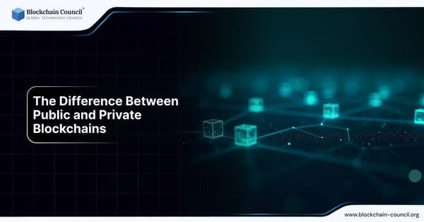 The Difference Between Public and Private Blockchains