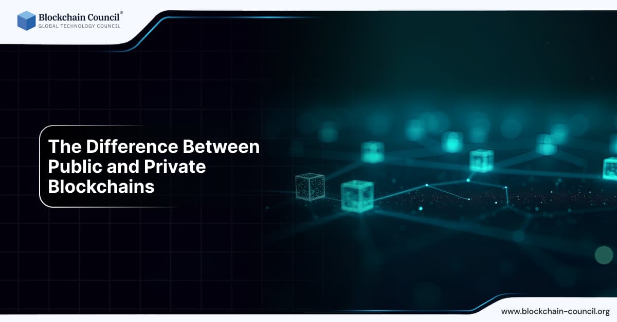 The Difference Between Public and Private Blockchains