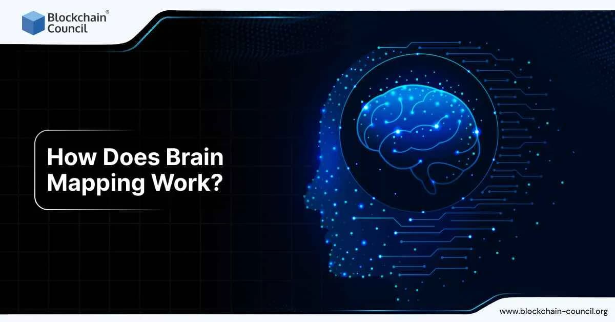 How Does Brain Mapping Work?