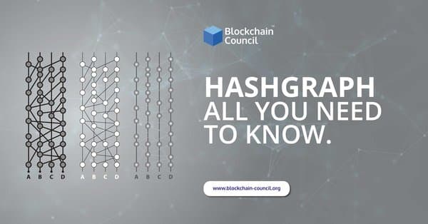 Hashgraph-All-You-Need-to-Know