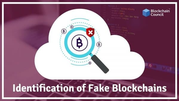 how-to-identify-a-fake-blockchain-startup