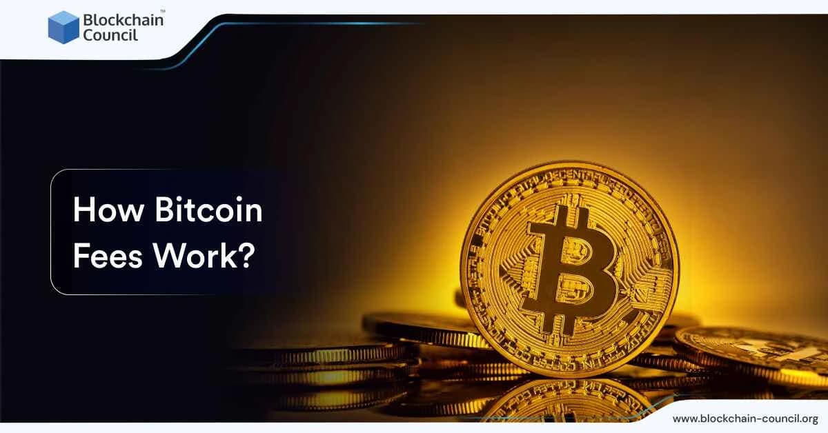 How Bitcoin Fees Work