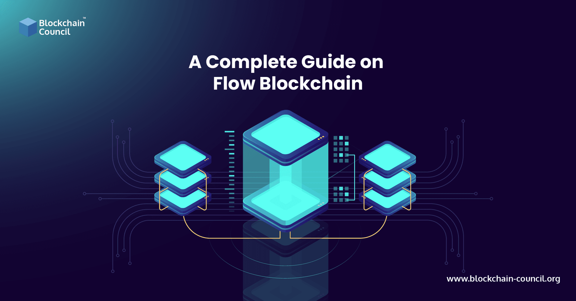A Complete Guide on Flow Blockchain