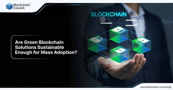 Are Green Blockchain Solutions Sustainable Enough for Mass Adoption?