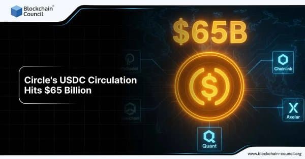 Circle's USDC Circulation Hits $65 Billion → "USDC Supply Reaches $65 Billion"