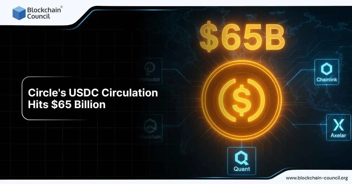 Circle's USDC Circulation Hits $65 Billion → "USDC Supply Reaches $65 Billion"