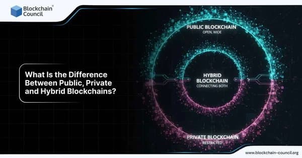 What Is the Difference Between Public, Private, and Hybrid Blockchains?