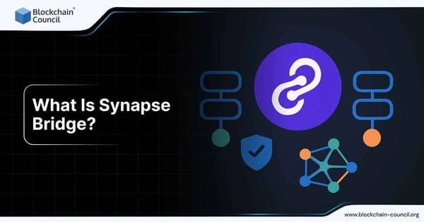 What Is Synapse Bridge?