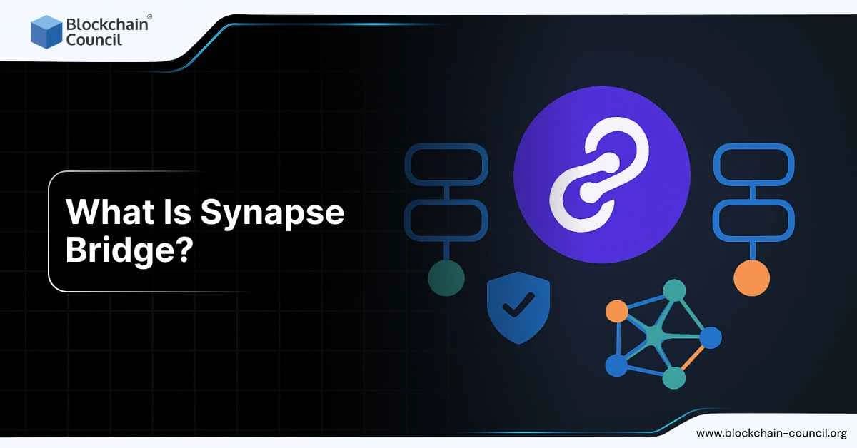 What Is Synapse Bridge?