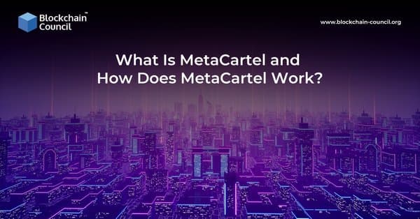 What Is MetaCartel and How Does MetaCartel Work