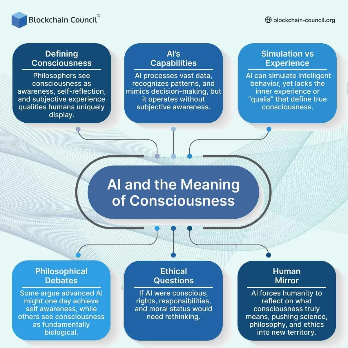 AI and the Meaning of Consciousness 