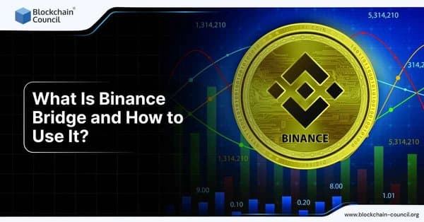 What Is Binance Bridge and How to Use It?