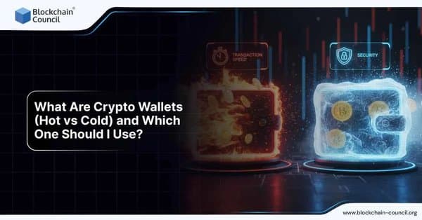Two glowing wallets, one fiery for hot wallets and one icy for cold wallets, representing the difference between crypto wallet types.