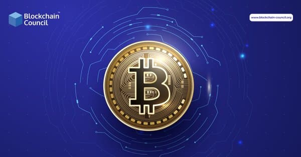 Is-Bitcoin-A-Viable-&-Safe-Haven-Right-Now-2