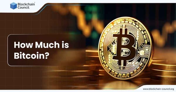 How Much is Bitcoin?