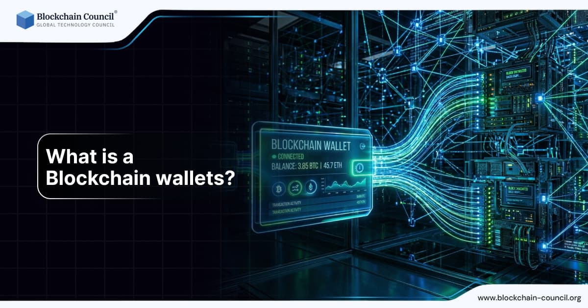 Blockchain wallets