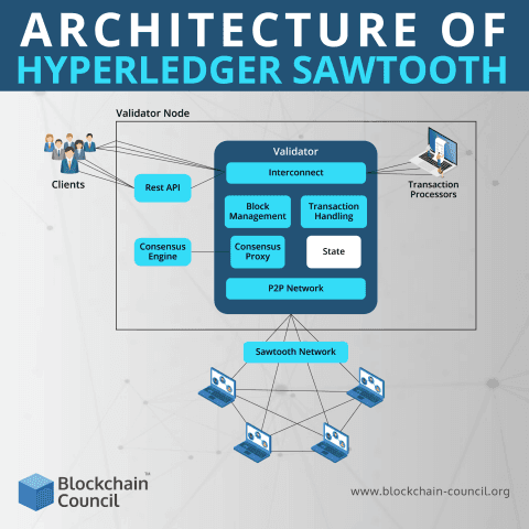 sawtooth-network
