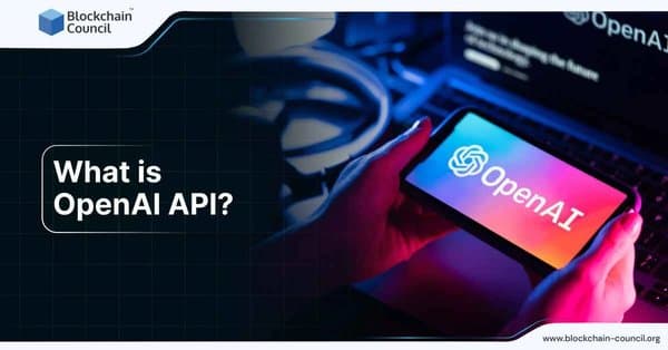 What is OpenAI API?