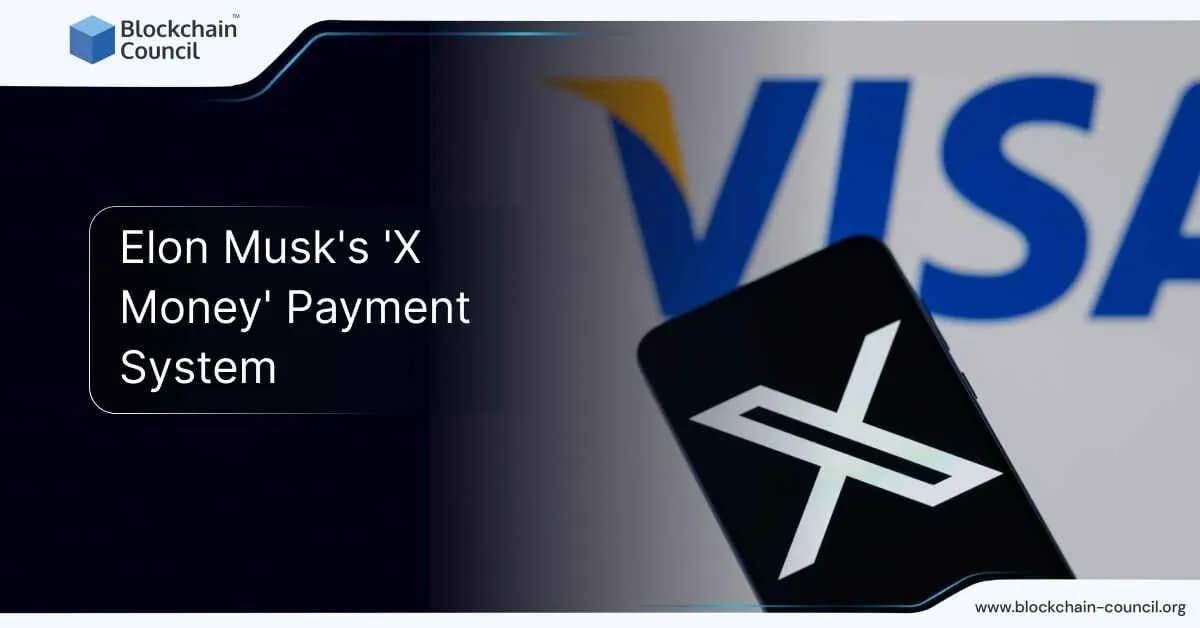 Elon Musk's 'X Money' Payment System