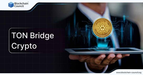 TON Bridge Crypto
