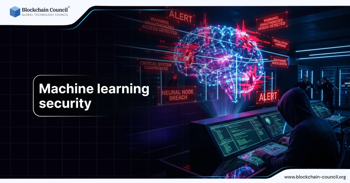 Machine learning security