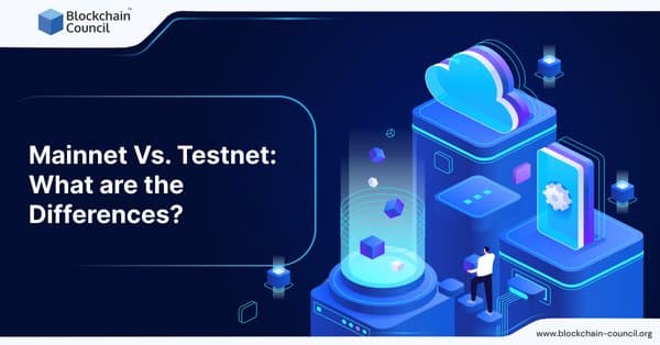 Mainnet vs Testnet