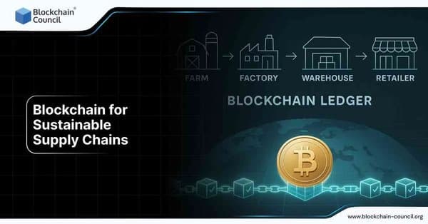 Blockchain ledger improving supply chain sustainability from farm to retailer