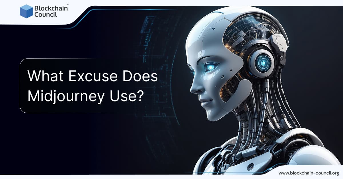 What Excuse Does Midjourney Use?