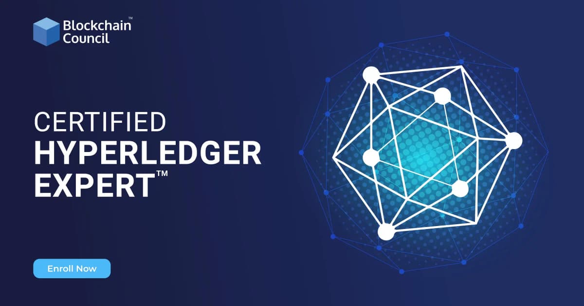 Hyperledger Expert
