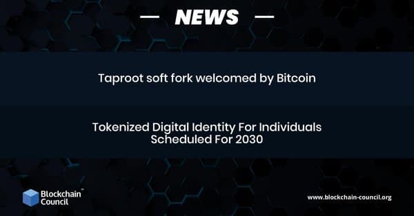 Taproot soft fork welcomed by Bitcoin (1) (1)